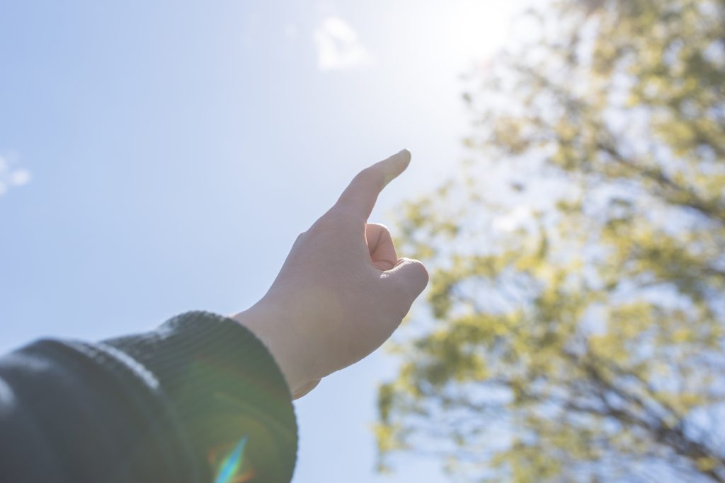 自然の木々と空を指さしているイメージ